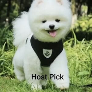 Air Mesh Puppy Medium Dog Harness/Leash Mesh Chest Strap Collar for cats/dog NWT